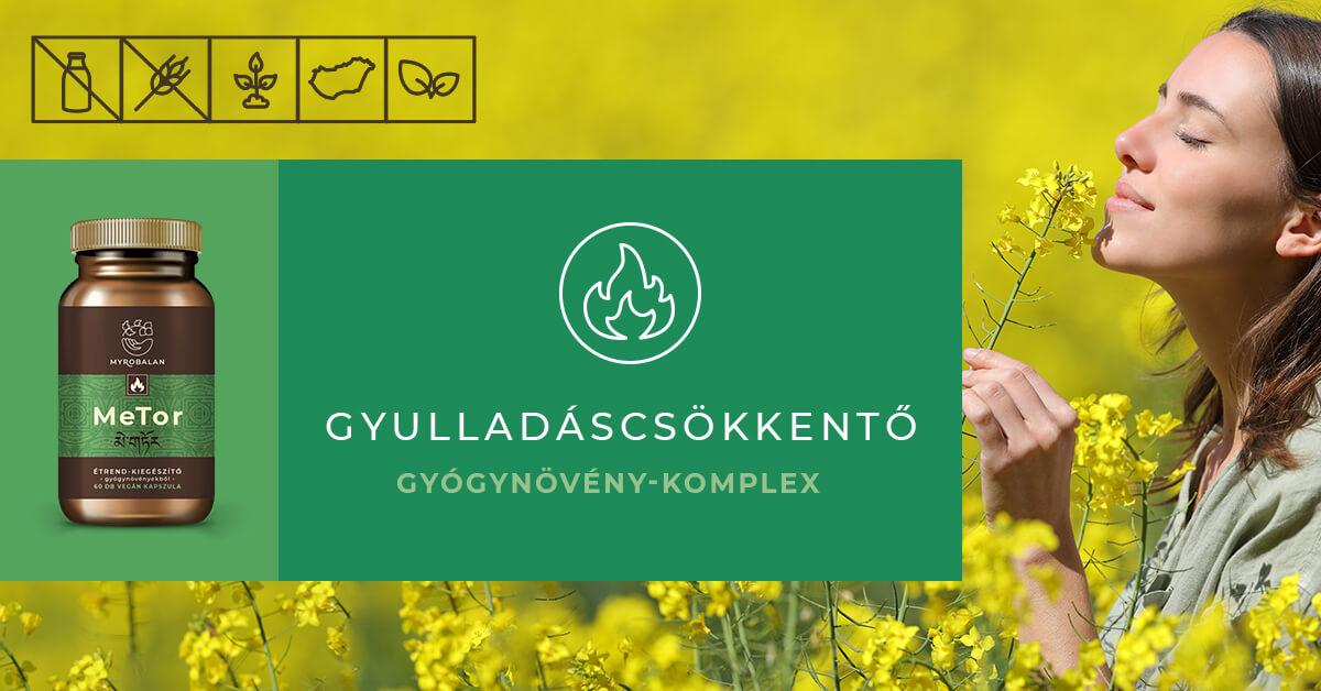 MeTor - gyulladáscsökkentő étrend-kiegészítő gyógynövényekből