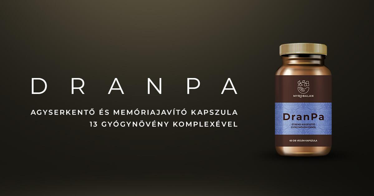 DranPa agyserkenő és memóriajavító kapszula 13 gyógynövény szinergizmusával