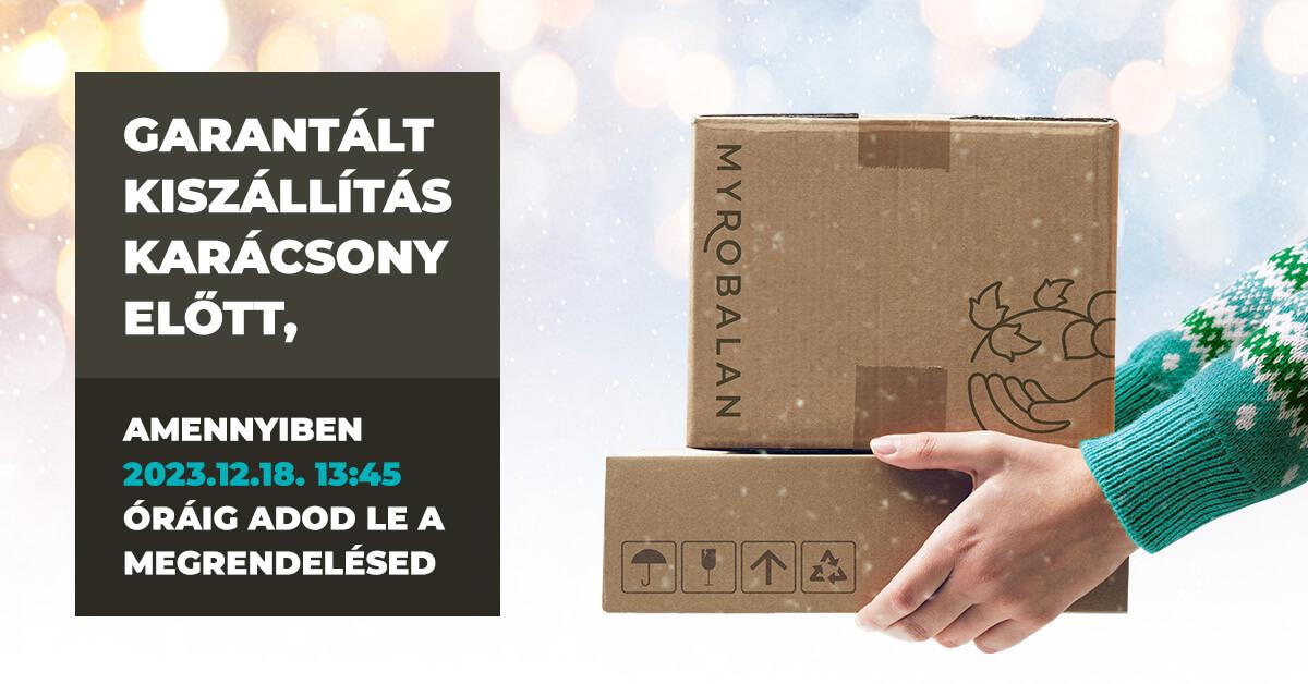 Garatált kiszállítás karácsony előtt