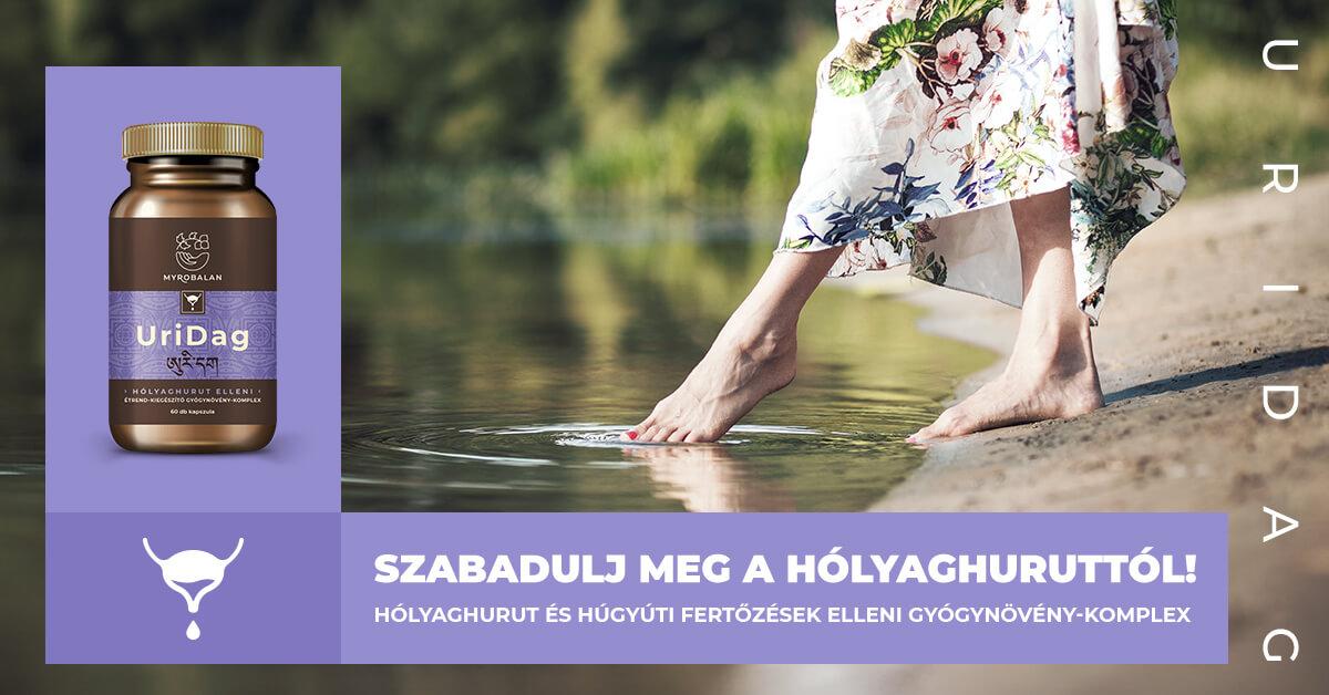 UriDag hólyaghurut és húgyúti fertőzések elleni gyógynövény-komplex