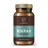 bioxan